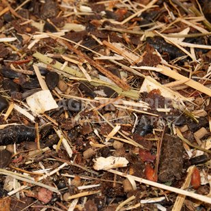 AgroVital ALERGIA musli - 14kg