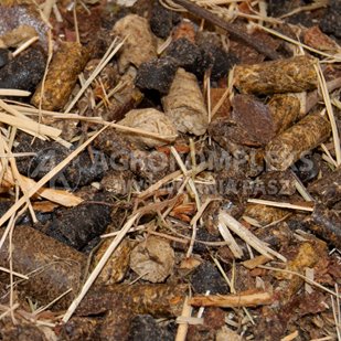 AgroVital CALM-MUSLI - 14 kg (bez otrąb i zbóż)