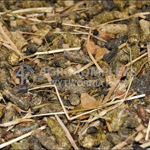 AgroVital GASTRO - 14 kg (bez otrąb i zbóż)